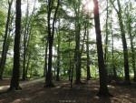 Landgoed Stroink